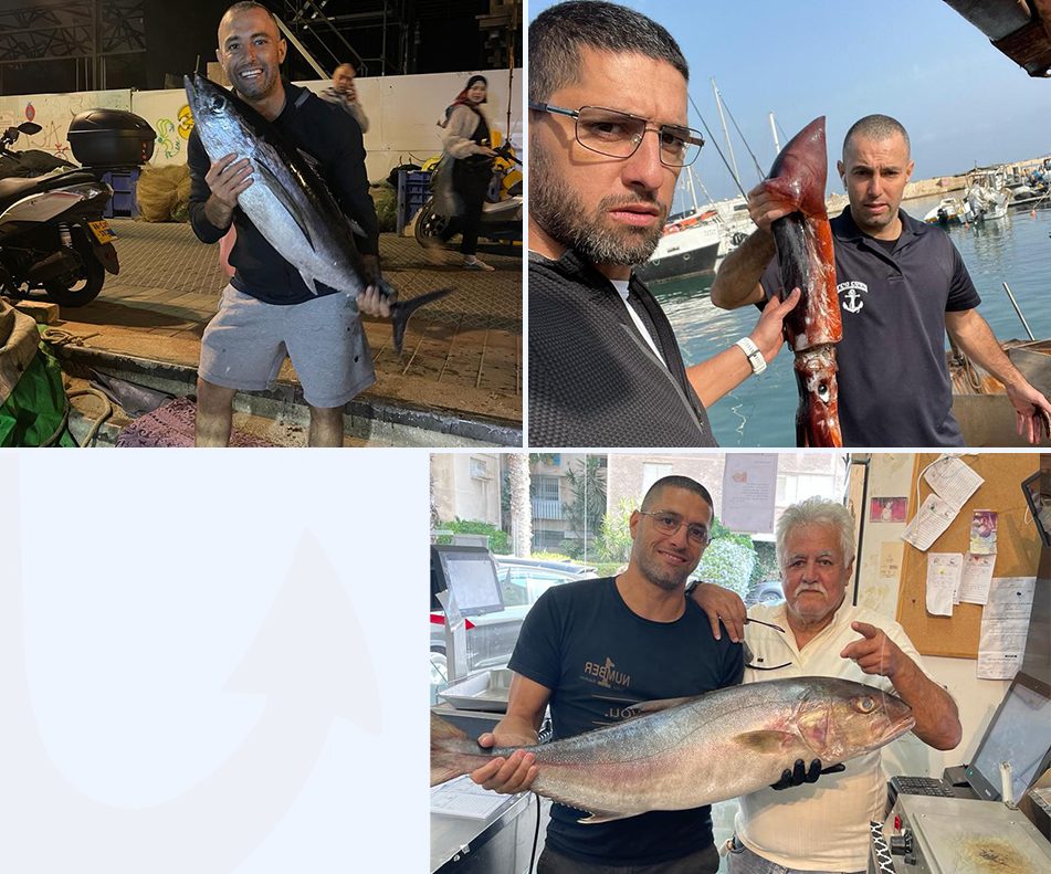 אודות בטשון